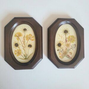 Vintage set of 2 framed pressed flowers collected and arranged by Lena Sorg.